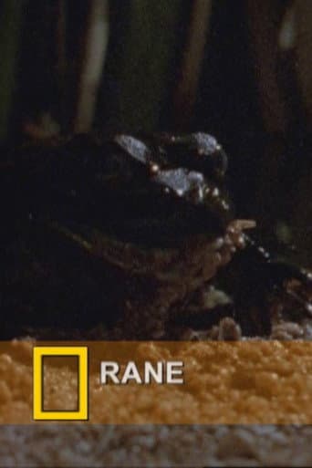Poster for Fearsome Frogs