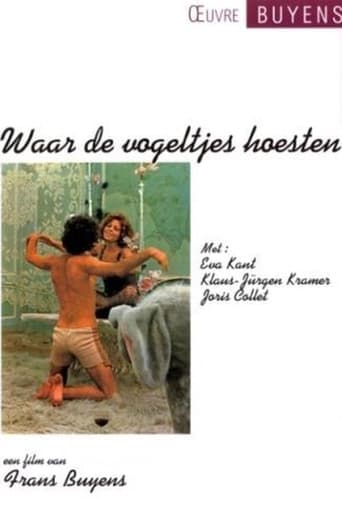 Poster for Waar de vogeltjes hoesten