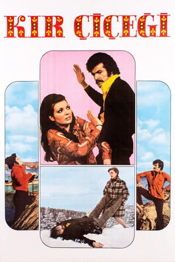 Poster for Kır Çiçeği