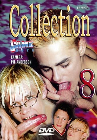 Poster for Game Boys Collection 8