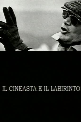 Poster for The Filmmaker and the Labyrinth