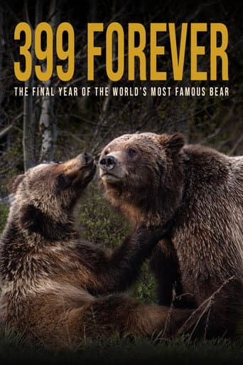 Poster for 399 Forever