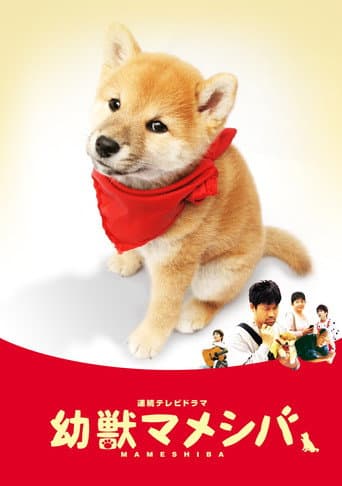 Poster for Mameshiba Cubbish Puppy
