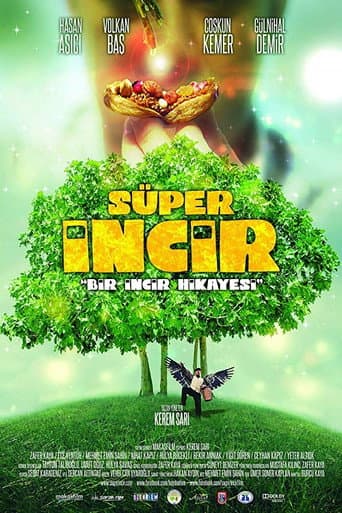 Poster for Super Fig