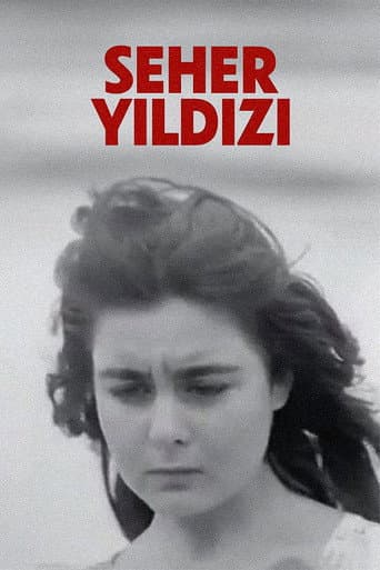 Poster for Seher Yıldızı