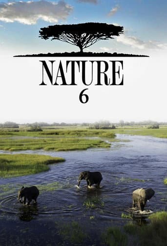 Poster for Season 6