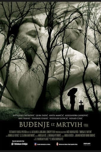 Poster for Awakening from the Dead