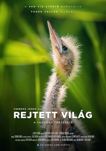 Poster for Hidden World: The Story of Hungary's Wild Waters
