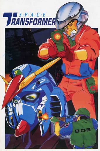 Poster for Space Transformer