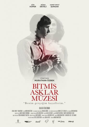 Poster for The Museum of Broken Love