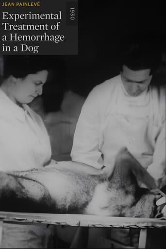 Poster for Experimental Treatment of a Hemorrhage in a Dog