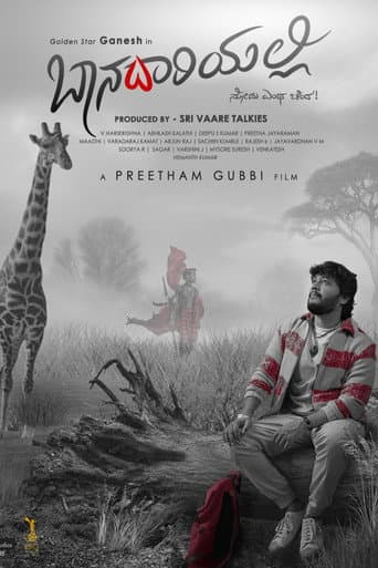 Poster for Baanadariyalli