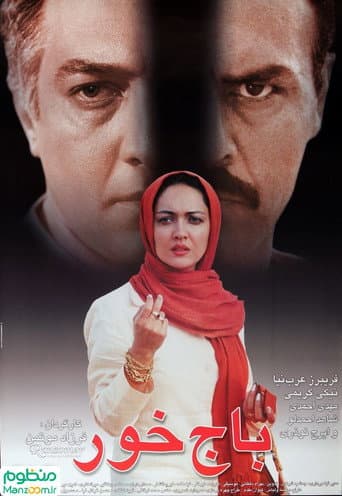 Poster for The Ransomer