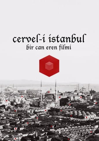 Poster for Cervel-i İstanbul