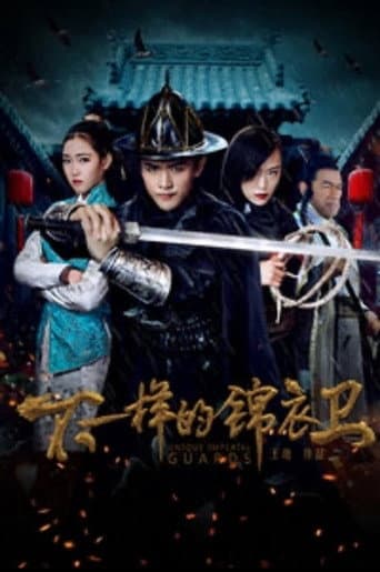 Poster for 不一样的锦衣卫