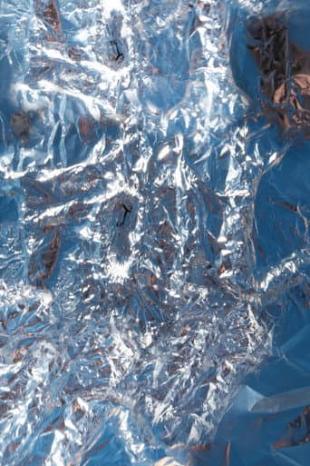 Poster for FOIL