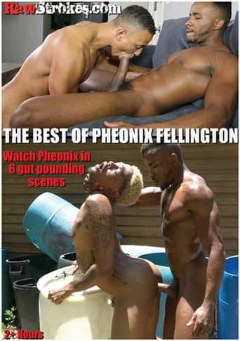 Poster for The Best of Pheonix Fellington