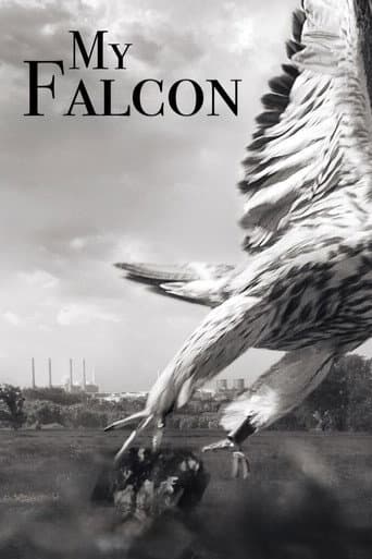 Poster for My Falcon