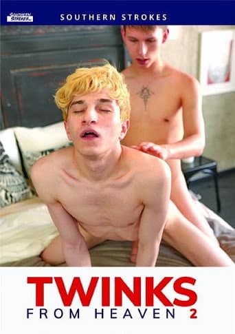 Poster for Twinks from Heaven 2
