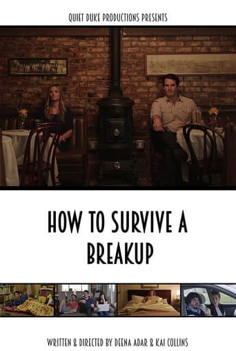 Poster for How to Survive a Breakup