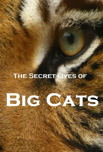 Poster for The Secret Lives Of Big Cats