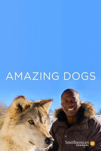 Poster for Amazing Dogs
