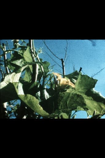 Poster for Plantlife