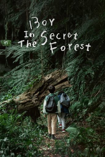 Poster for Boy in the Secret Forest