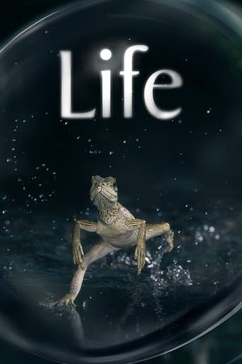 Poster for Life