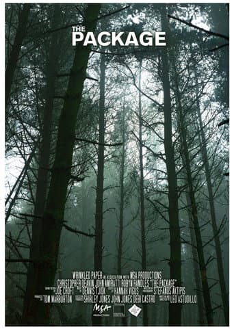 Poster for The Package