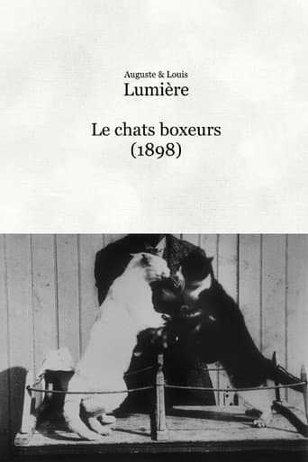 Poster for Les chats boxeurs