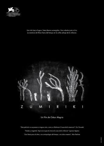 Poster for Zumiriki