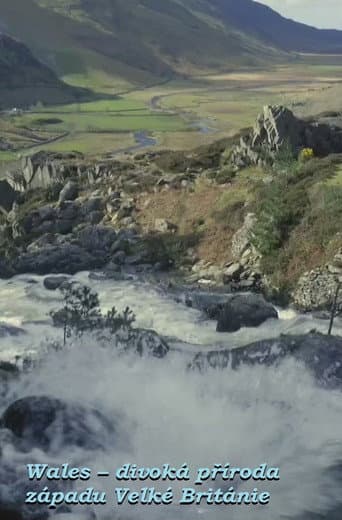 Poster for Wales: Great Britain's Wild West
