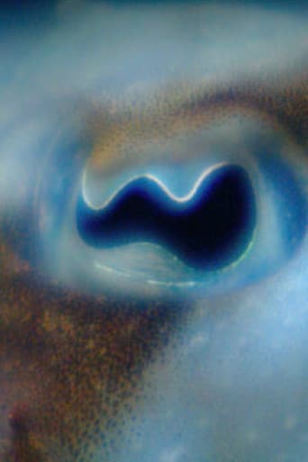 Poster for Anywhen In a Time Colored Space