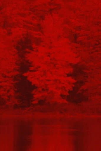 Poster for Ride Like Lightning, Crash Like Thunder