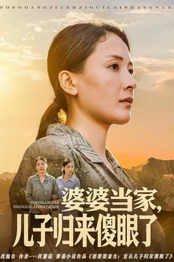 Poster for 婆婆当家，儿子归来傻眼了