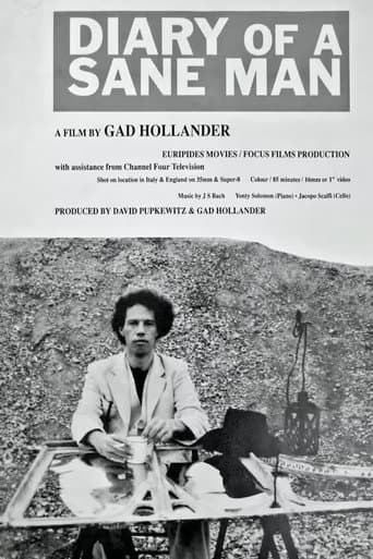 Poster for Diary of a Sane Man