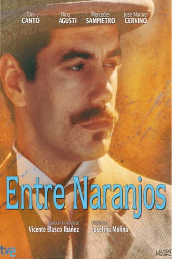 Poster for Miniseries