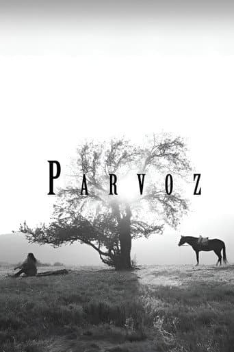 Poster for Parvoz