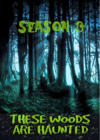 Poster for Season 3