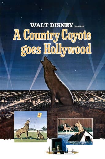Poster for A Country Coyote Goes Hollywood
