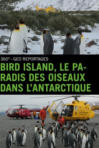 Poster for Bird Island - Allein unter Pinguinen