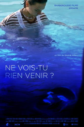 Poster for Ne vois-tu rien venir ?