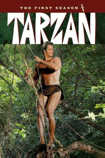 Poster for Season 1
