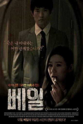 Poster for Veil