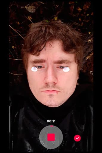 Poster for Self-Portrait at Thirty