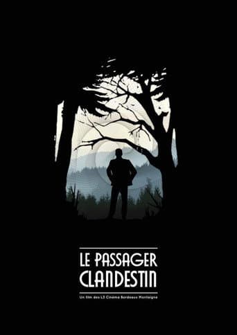 Poster for The Stowaway