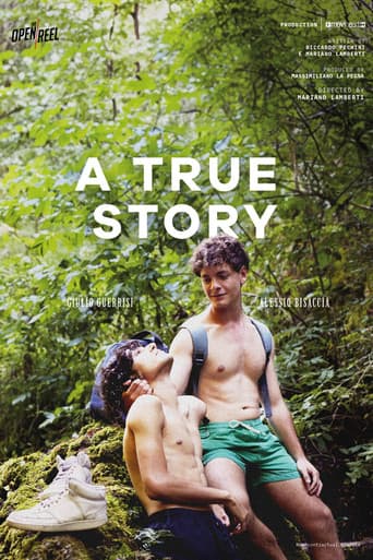 Poster for A True Story