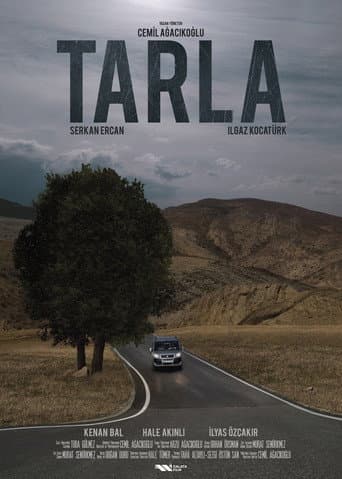 Poster for The Field