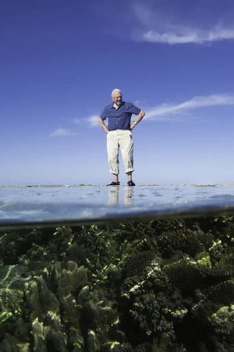 Poster for Reef Diaries